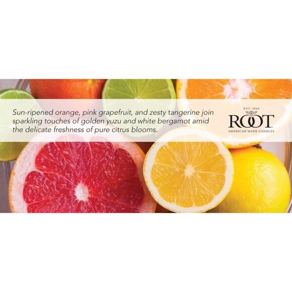 Root 3 Wick Honeycomb Candle, Citron & Bergamot (6313460) Handcrafted Candle - Picture 3 of 6